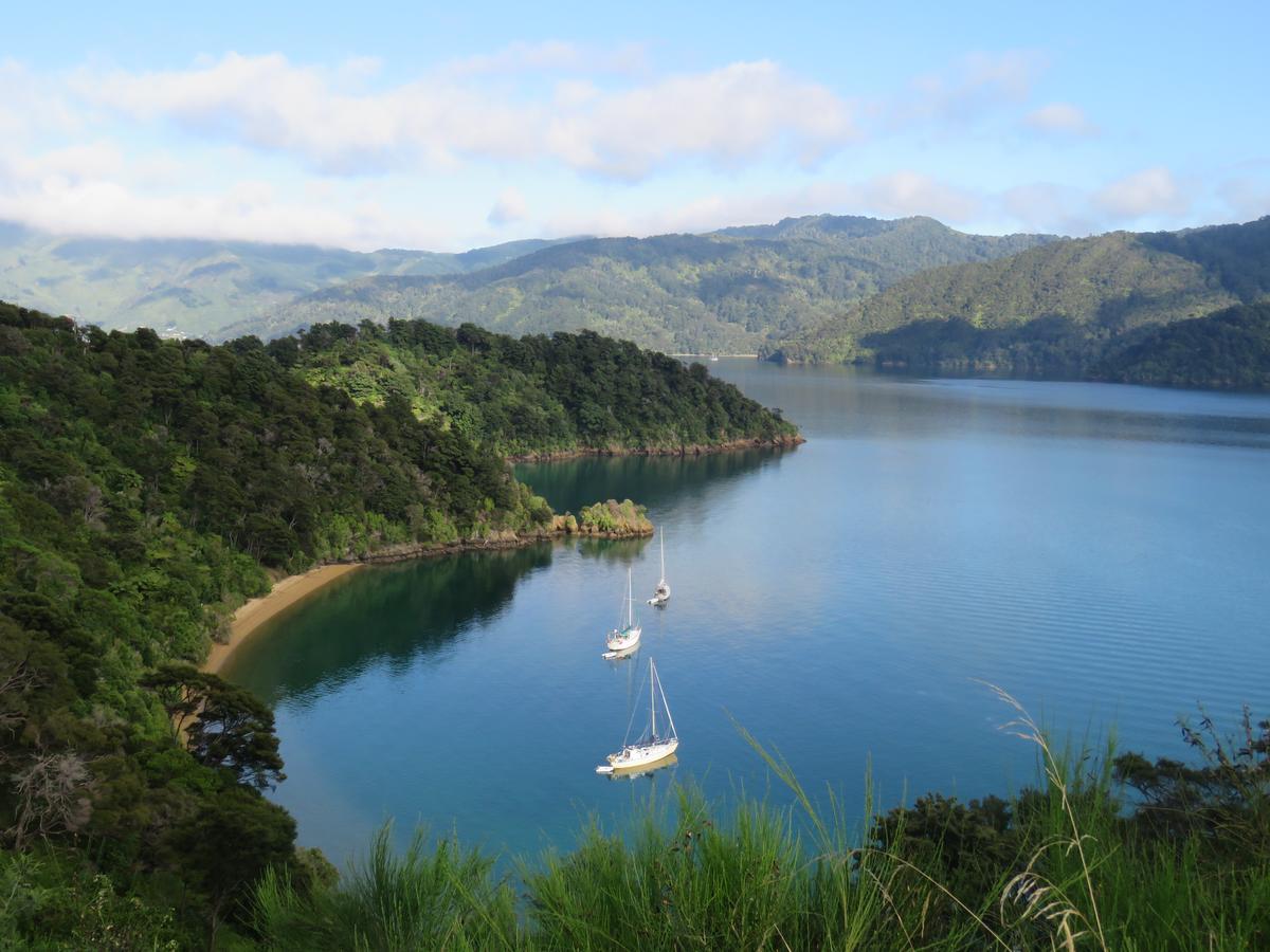 Waterfront Bed And Breakfast Picton Luaran gambar